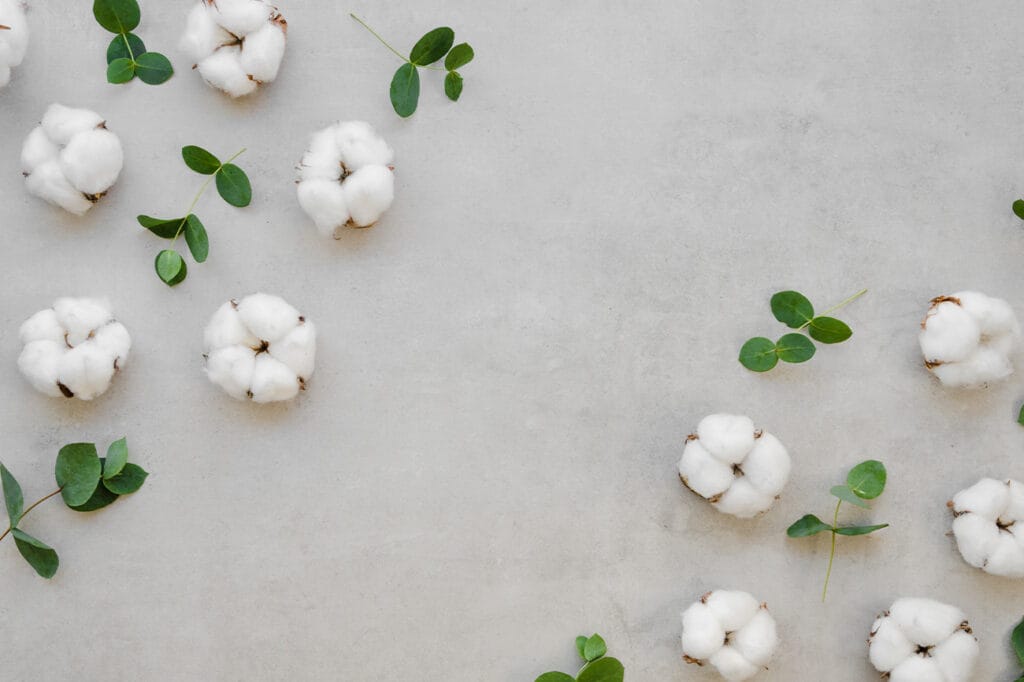 cotton banner