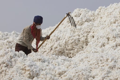 Cotton Waste